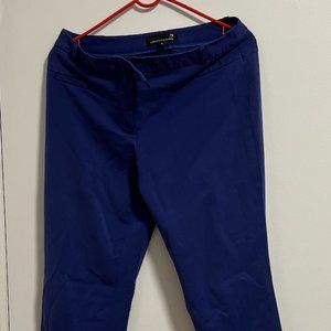 Suit Pant in blue color
